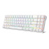 Royal Kludge RK71 Blue Switch RGB Hot Swappable Tri-Mode Wireless Mechanical Keyboard